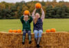 The Plotters’ Forest extends the Halloween fun at Raby with a new mini pumpkin patch