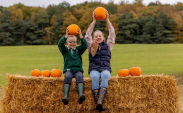 The Plotters’ Forest extends the Halloween fun at Raby with a new mini pumpkin patch