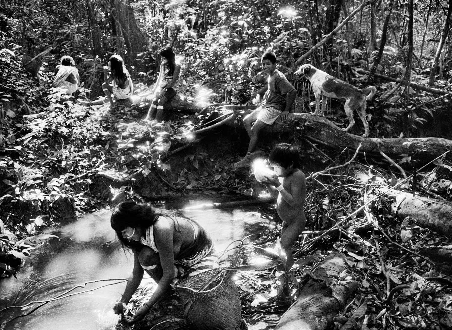 Sebastiao Salgado's critically acclaimed Amazonia exhibition opens at the Science and Industry Museum