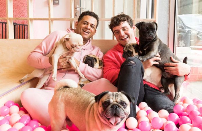 Instagrammable Pug Cafe Goes North: CuppaPug Opens New Site in Manchester